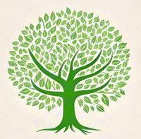 Everwood arung arai ni