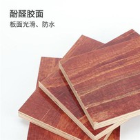 12mm Nsam Hpraw ai Plywood